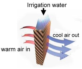evaporative cooling infographic