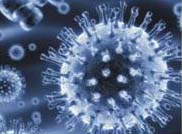 Virus. A target for UV infection control